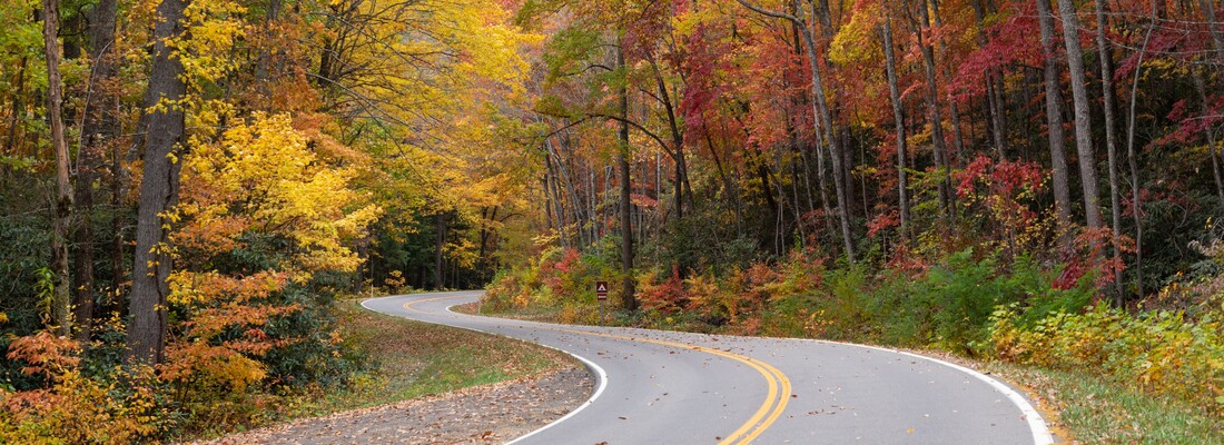 A scenic drive with fall colors on Route 133 near Damascus Virginia through Cherokee National Forest and the world's shortest tunnel, Backbone Rock